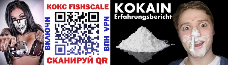 Cocaine Fish Scale  наркотики  Полесск 