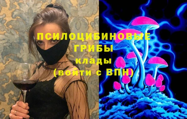 PSILOCYBIN Белоозёрский