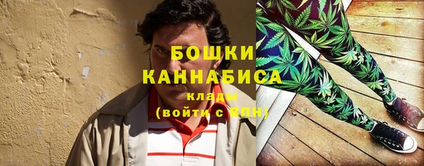 PSILOCYBIN Белоозёрский