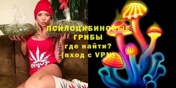 PSILOCYBIN Белоозёрский