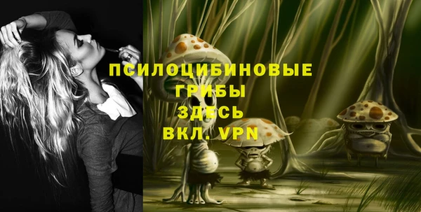 кристаллы Белокуриха